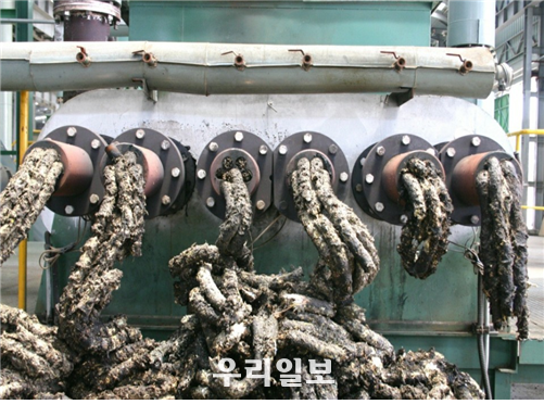 김형주박사의 쓰레기 융복삽처리장면 ⓒ 아시아에코 제공