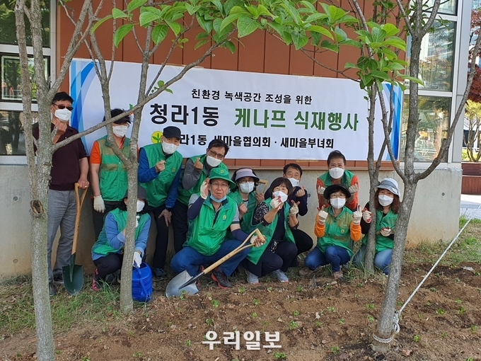 청라1도 새마을지도자협의회 조성관회장, 새마을 부녀회 심설희 회장외 회원들이 케냐프식재를 하고있다. 